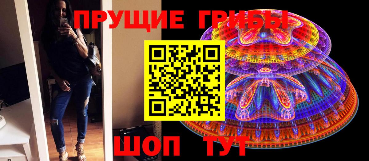 купить наркотик  Вход с VPN  Беслан  Галлюциногенные грибы GOLDEN TEACHER 